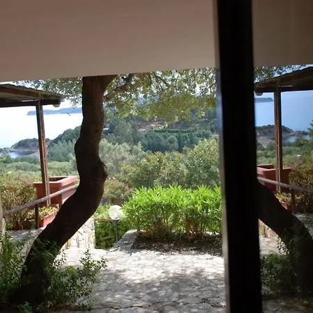 Casa de Férias Porto Luna 29
